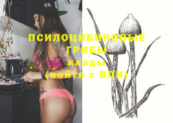 бошки Горняк