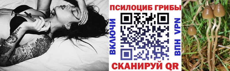 где найти наркотики  Меленки  KRAKEN рабочий сайт  Галлюциногенные грибы MAGIC MUSHROOMS 